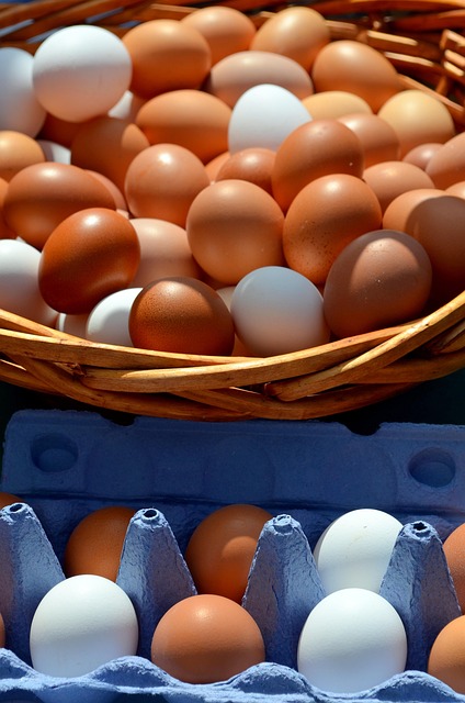 Eggs